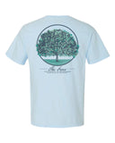 Ole Miss Circle The Grove