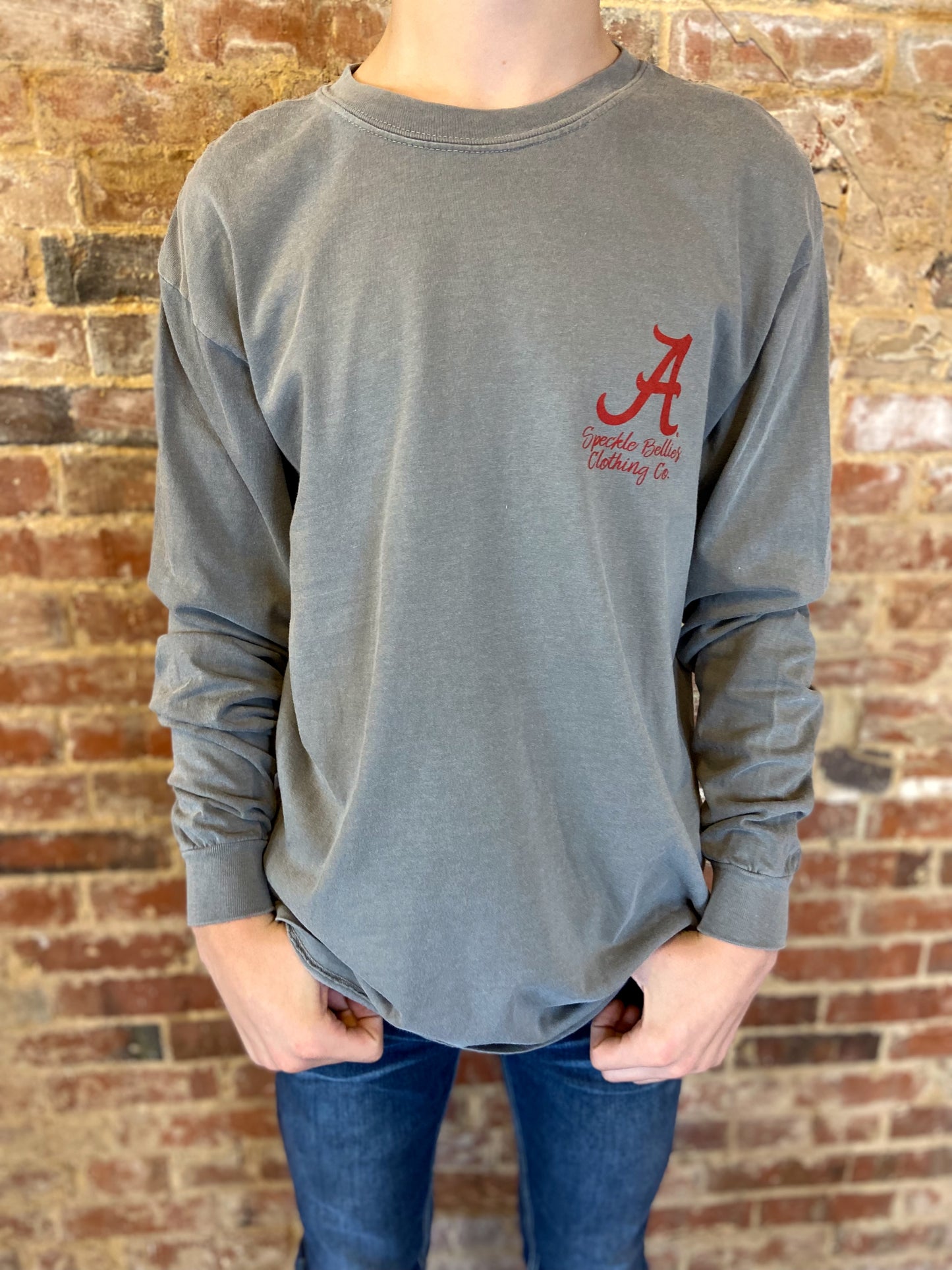 Alabama Watercolor Elephant Long Sleeve Grey