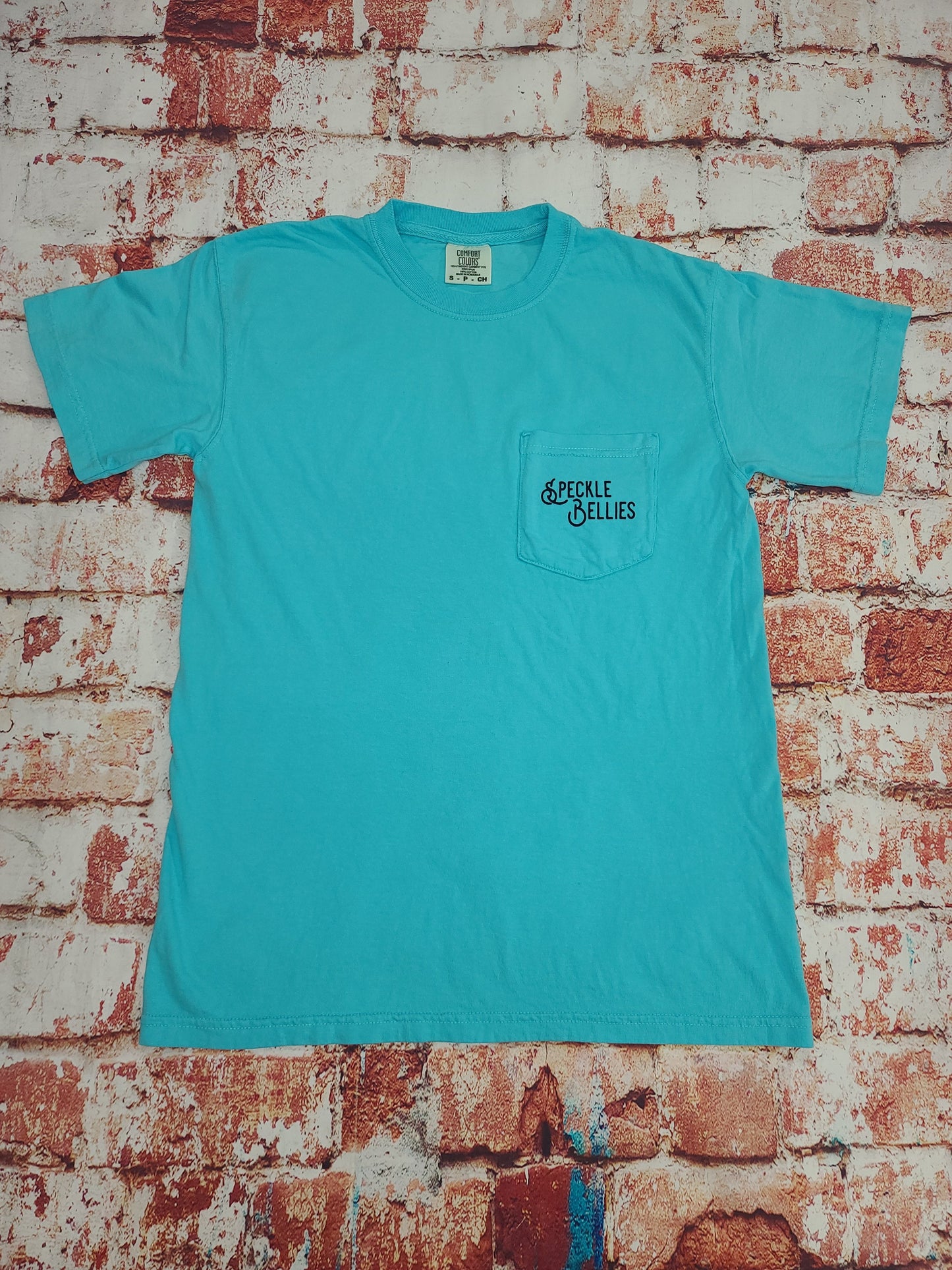 Vintage Mallard Pocket Tee