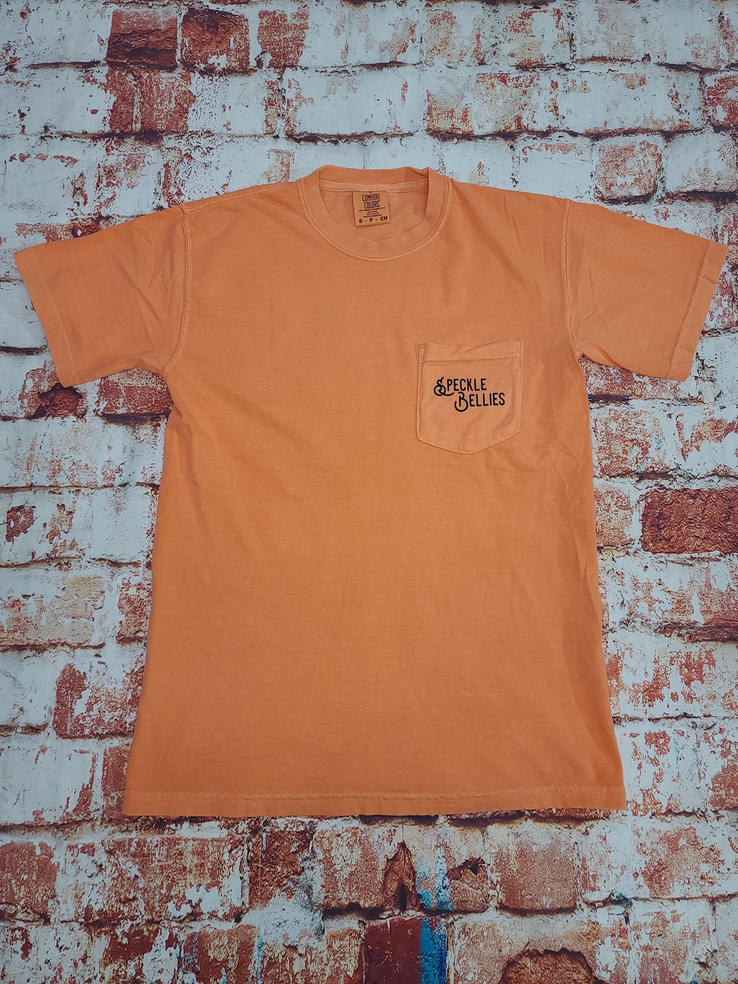 Vintage Mallard Pocket Tee