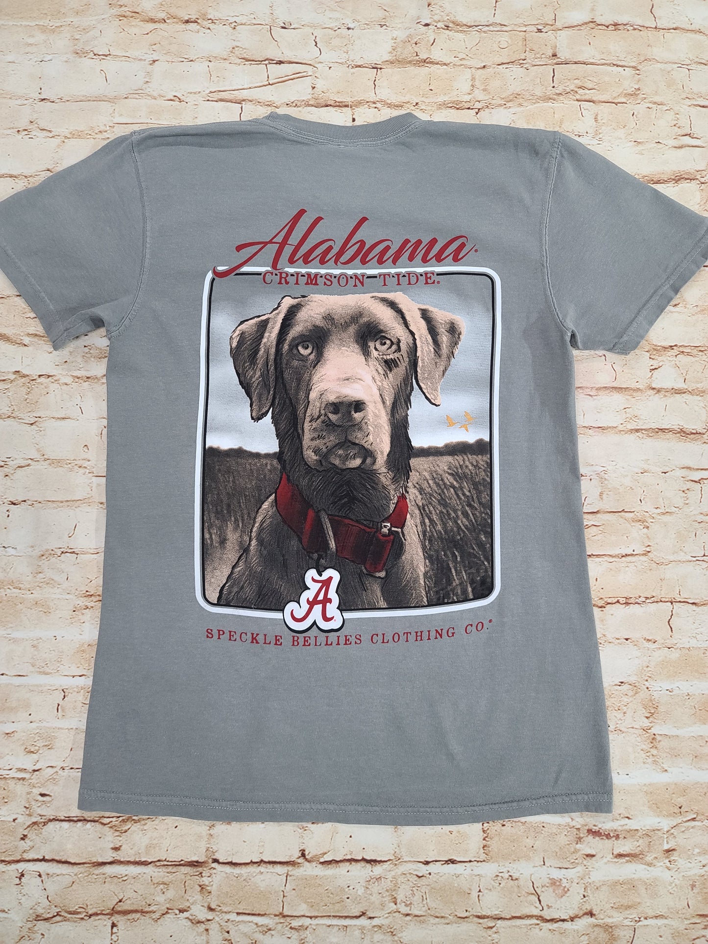 Alabama Lab Grey