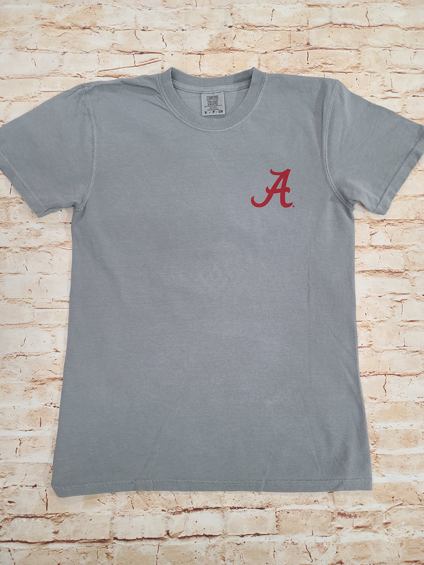 Alabama Lab Grey