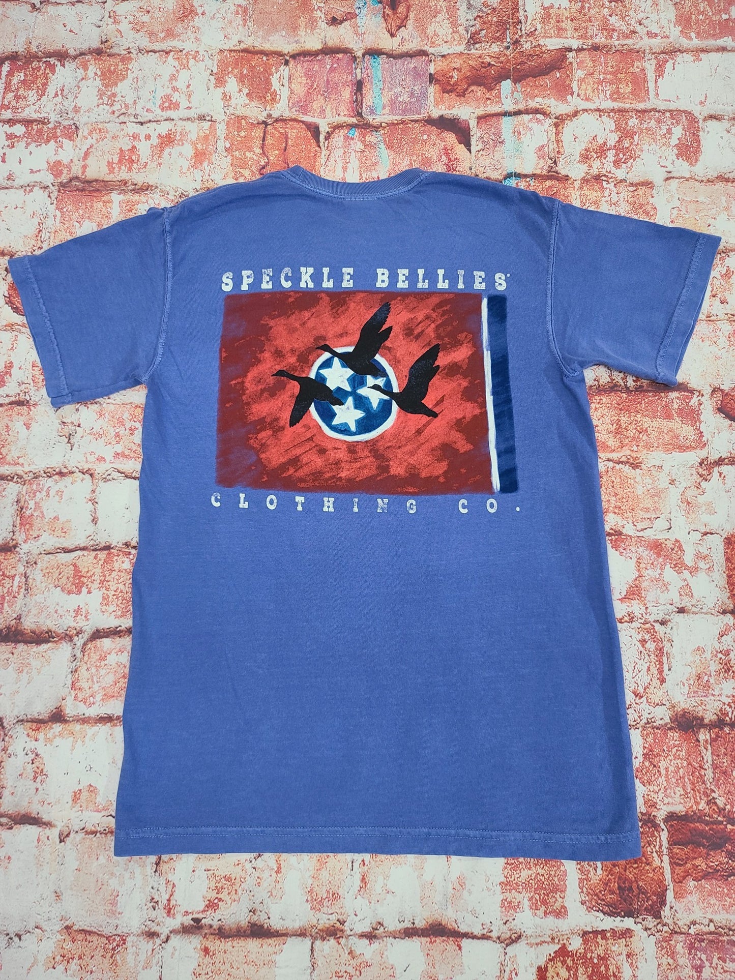 TN Flag 3 Geese Pocket Tee