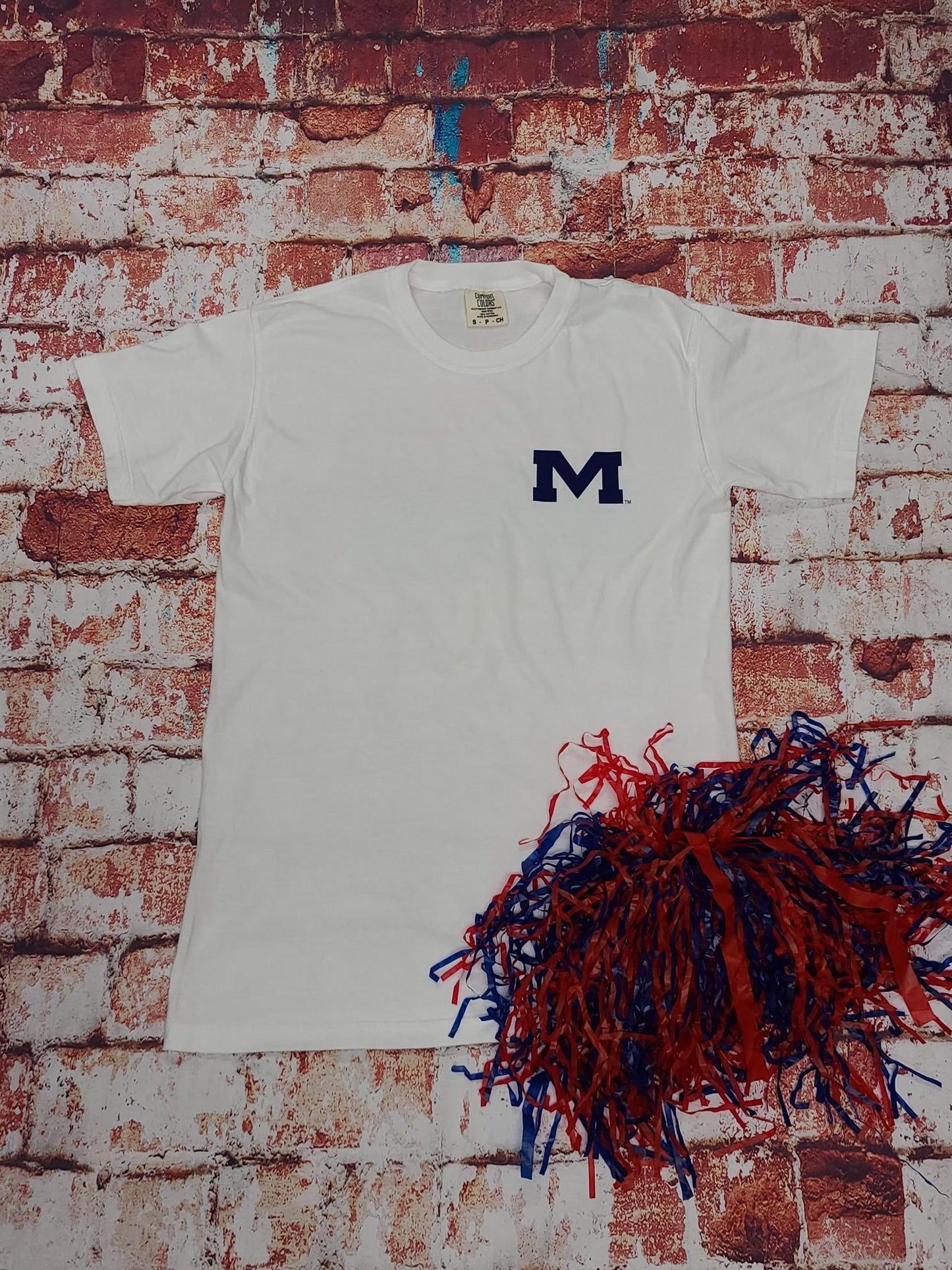 Ole Miss Watercolor Hotty Toddy