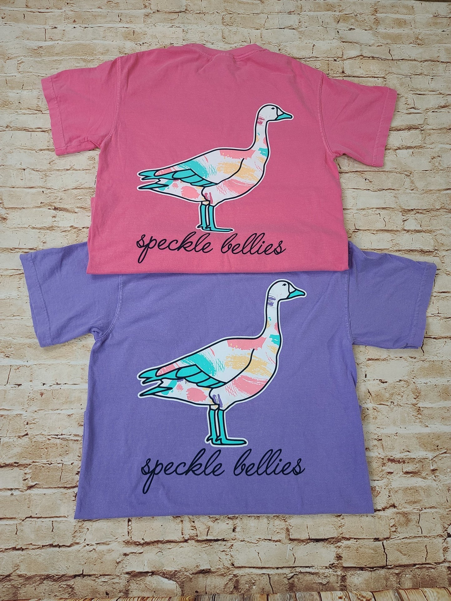 Pastel Paint Goose